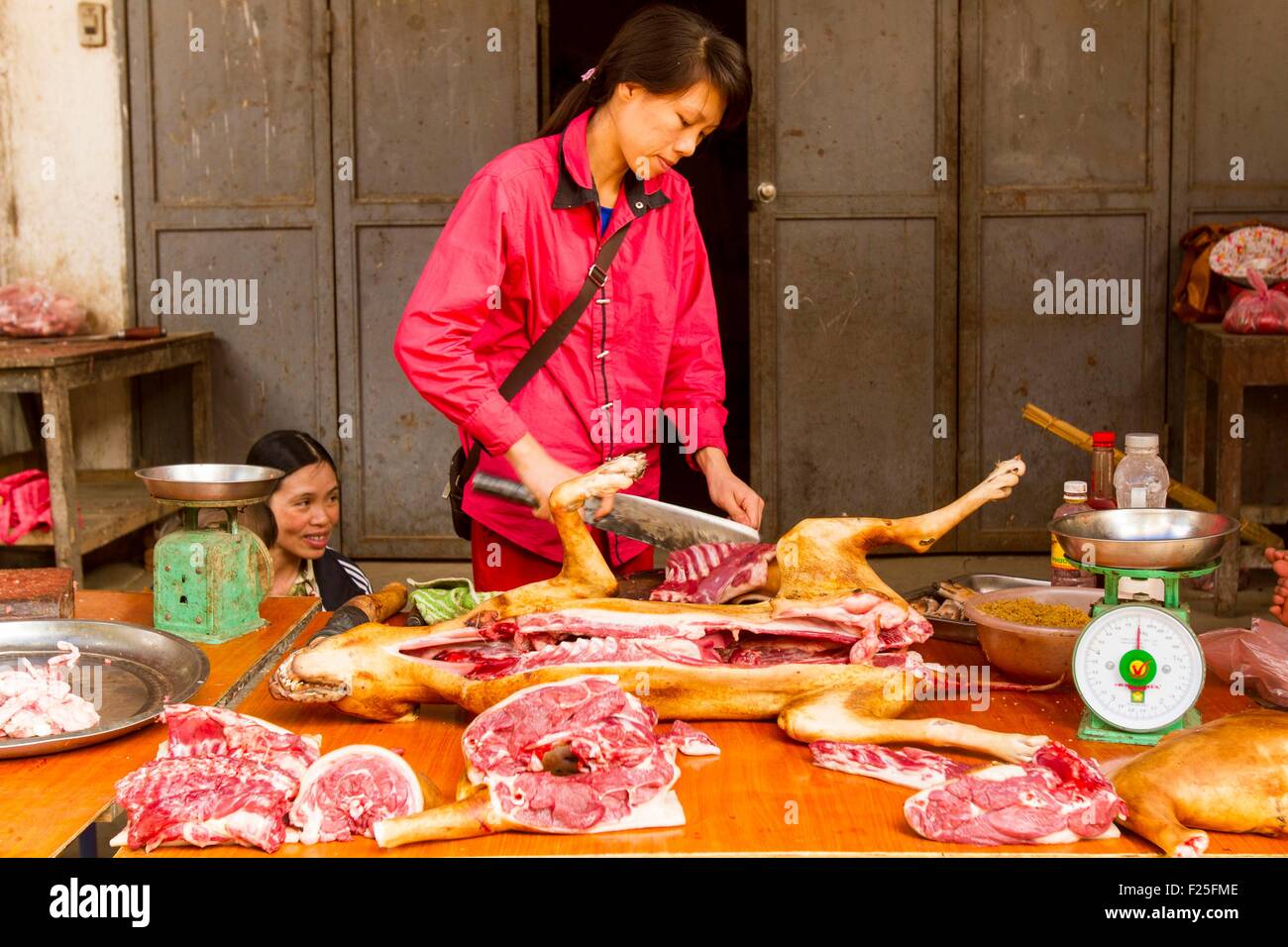 Vietnam, province de Yen Bai, Nghia Lo ville, Trung Tam, femme vendant la viande de chien au marché Banque D'Images