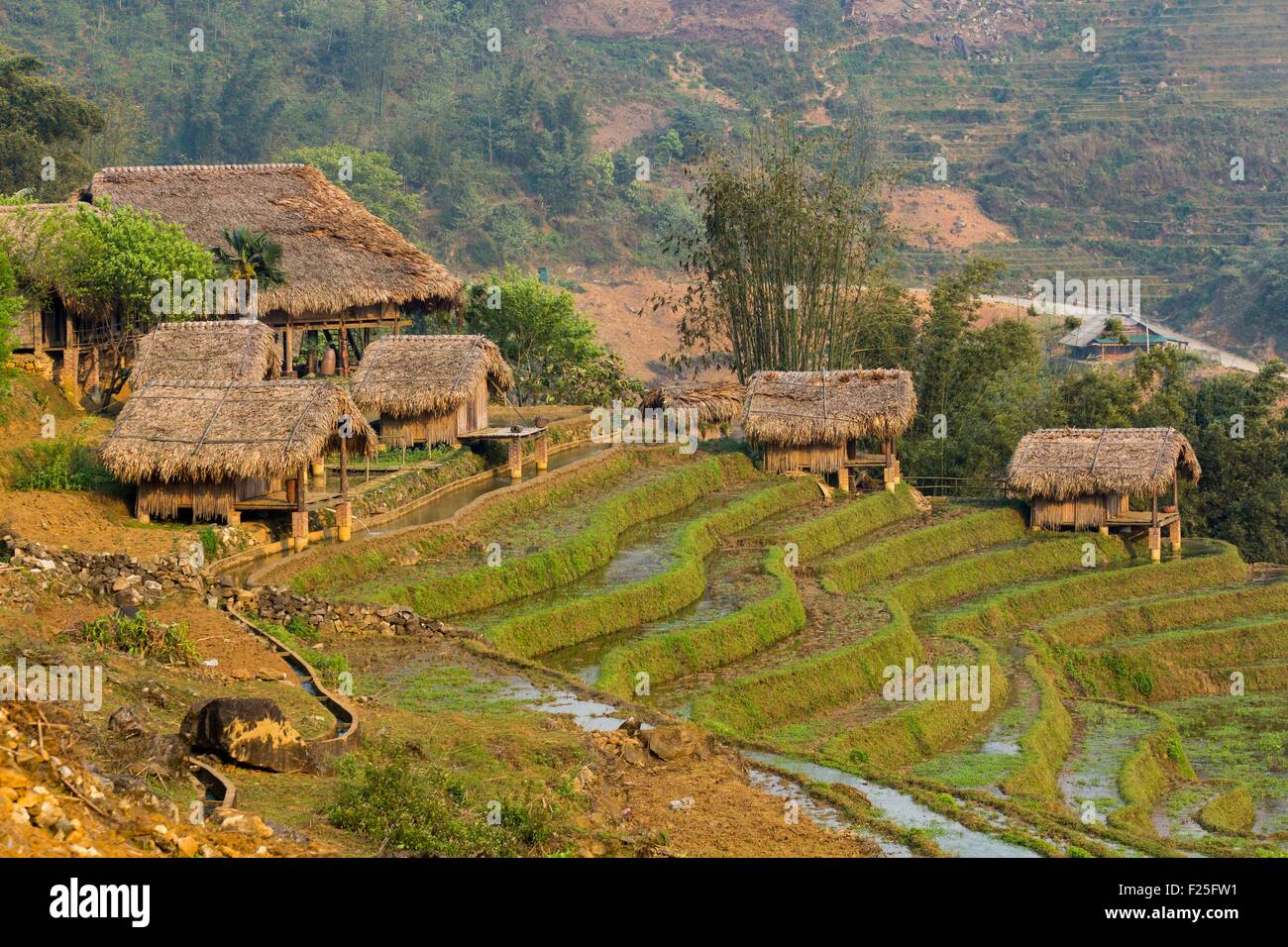 Vietnam, province de Yen Bai, Mu Cang Chai District, la Pan Tan, rizière Banque D'Images