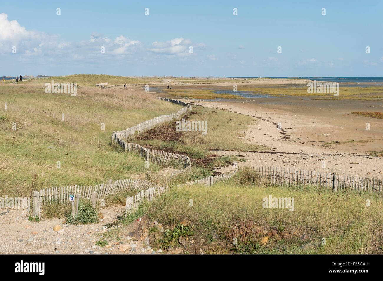 France, Cotes d'Armor, Pleubian, le sillon de Talbert Banque D'Images