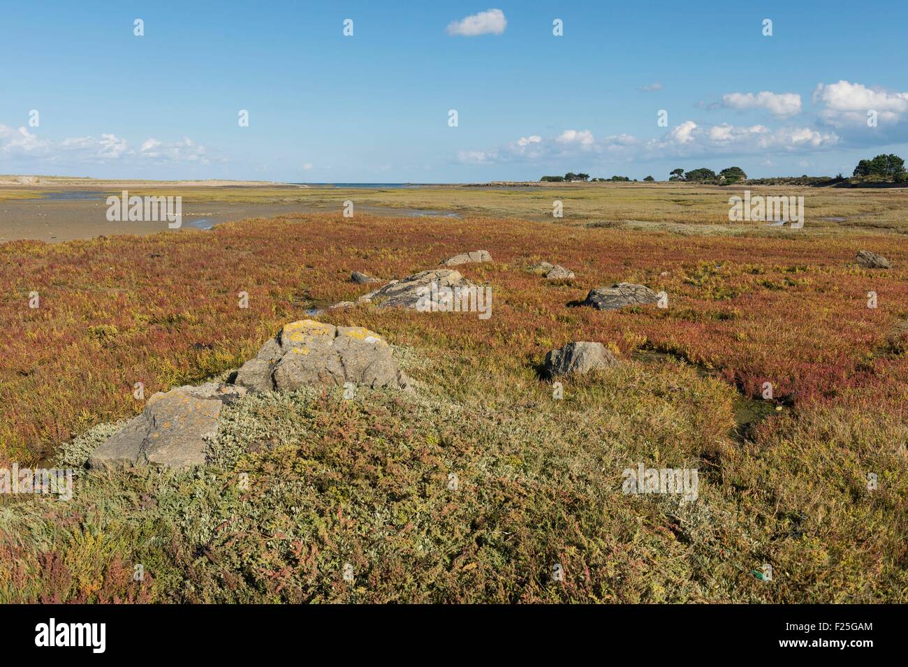 France, Cotes d'Armor, Pleubian, le sillon de Talbert Banque D'Images