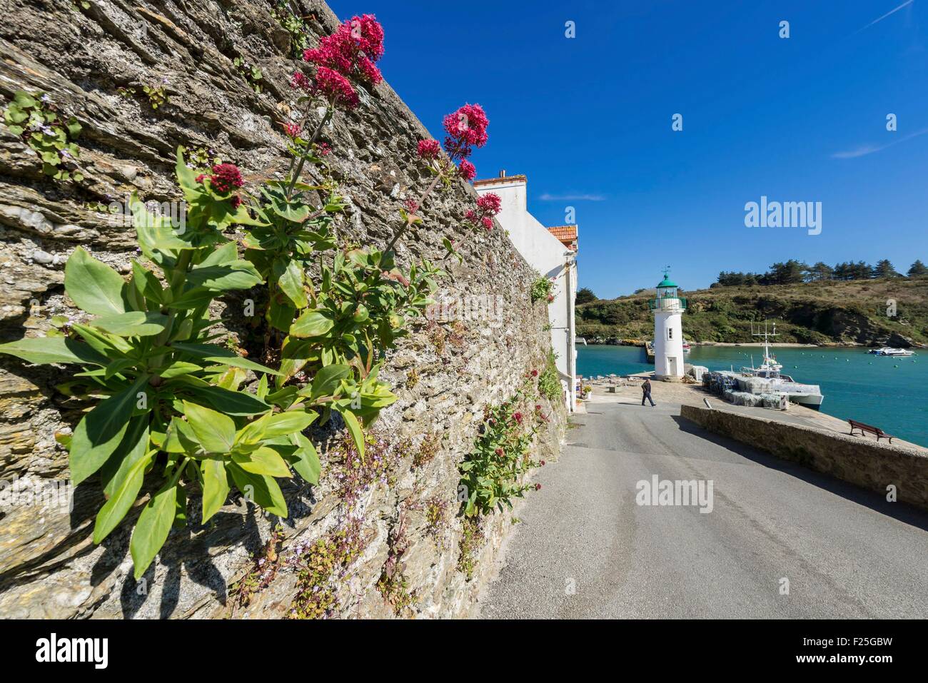 France, Morbihan, Sauzon, lane fleuri menant à la port Banque D'Images