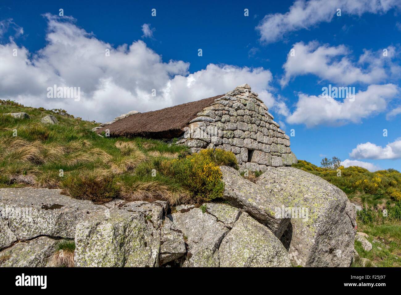 La France, la Lozère, les Causses et les Cévennes, paysage culturel agropastoraux méditerranéens, inscrite au Patrimoine Mondial de l'UNESCO, le Parc National des Cévennes (Parc National des Cévennes), classé réserve de biosphère par l'UNESCO, le Mont Lozère, l'hôpital, le Pont d Banque D'Images