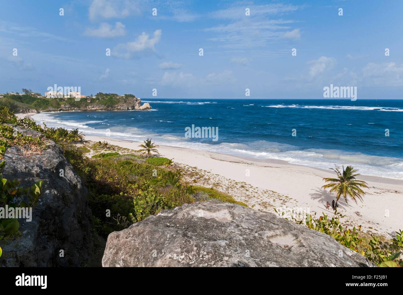 L'île de la Barbade, Foul Bay, quartier des Crane Beach sur la côte sud, paroisse de Saint Philippe, upper classe trimestre Banque D'Images