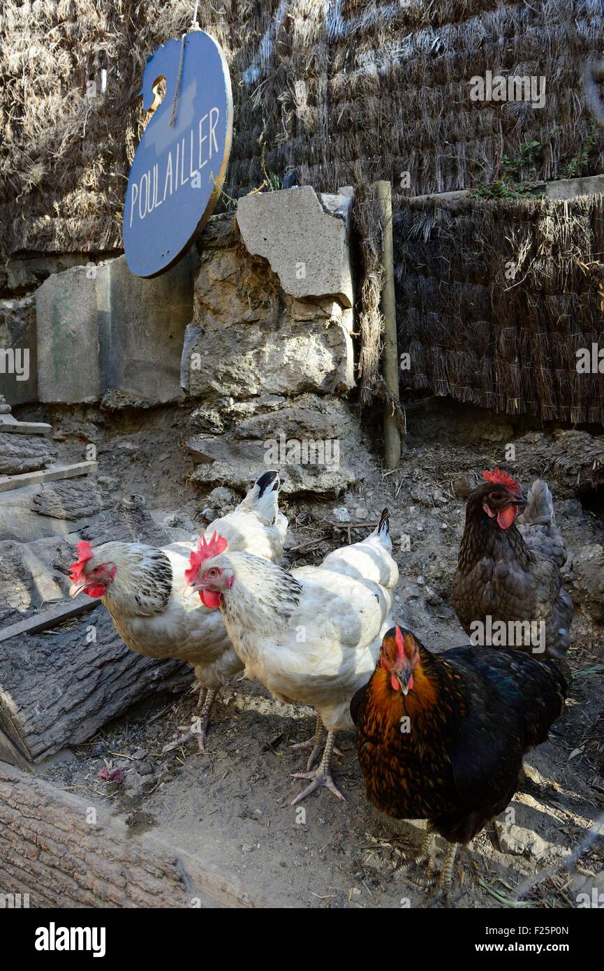 France Paris La Petite Ceinture Flèche Dor Ancienne Gare