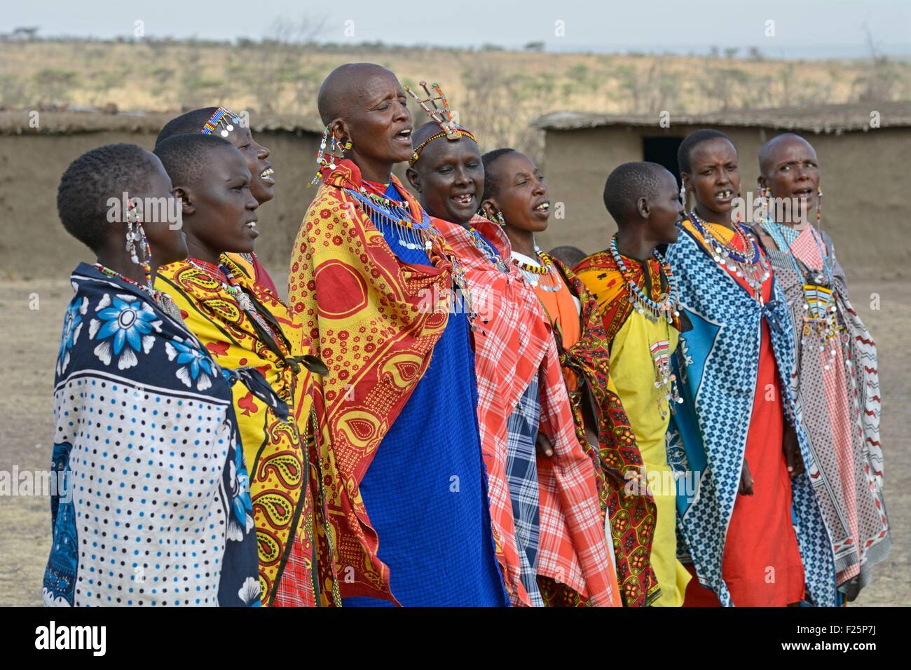La réserve de Masai Mara, Kenya, Masai femmes accomplissant un accueil traditionnel de chant dans un village Maasai Banque D'Images