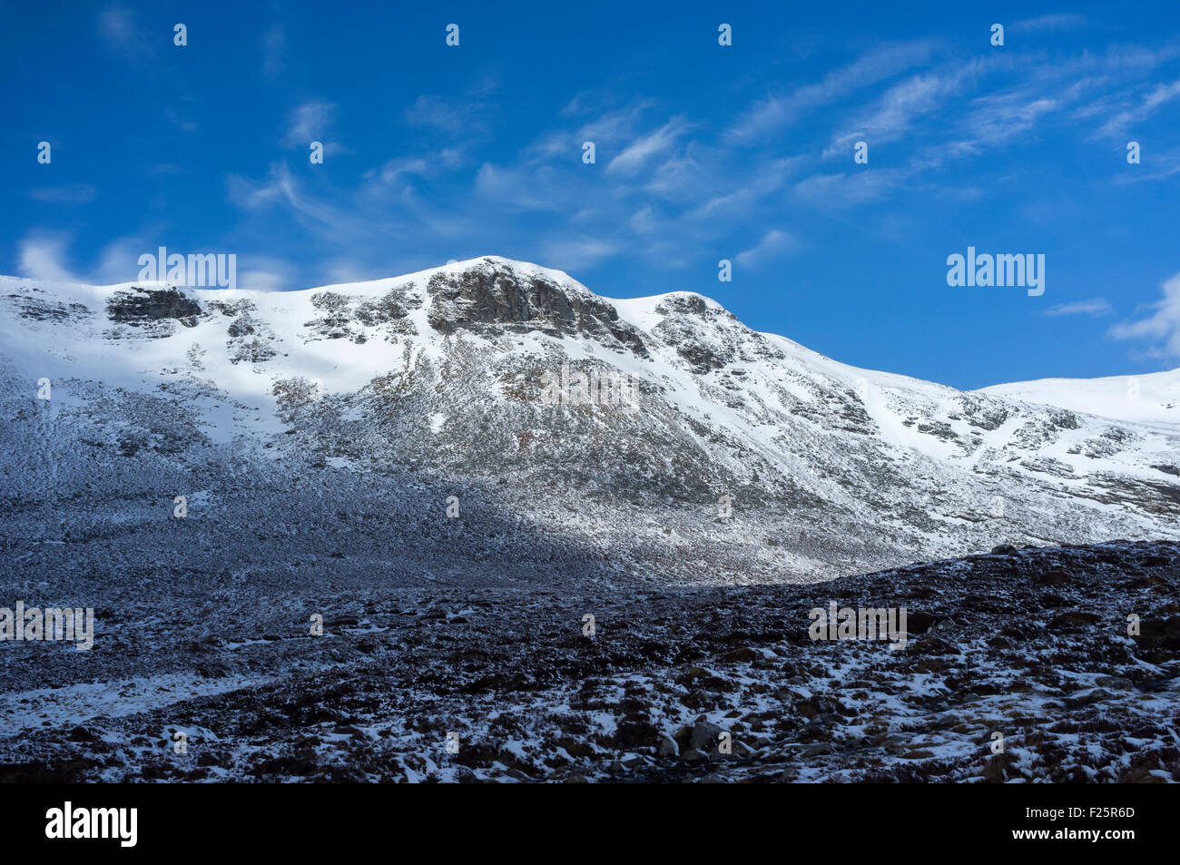 Carn Dearg, montagnes Monadhliath, Ecosse, Royaume-Uni Banque D'Images