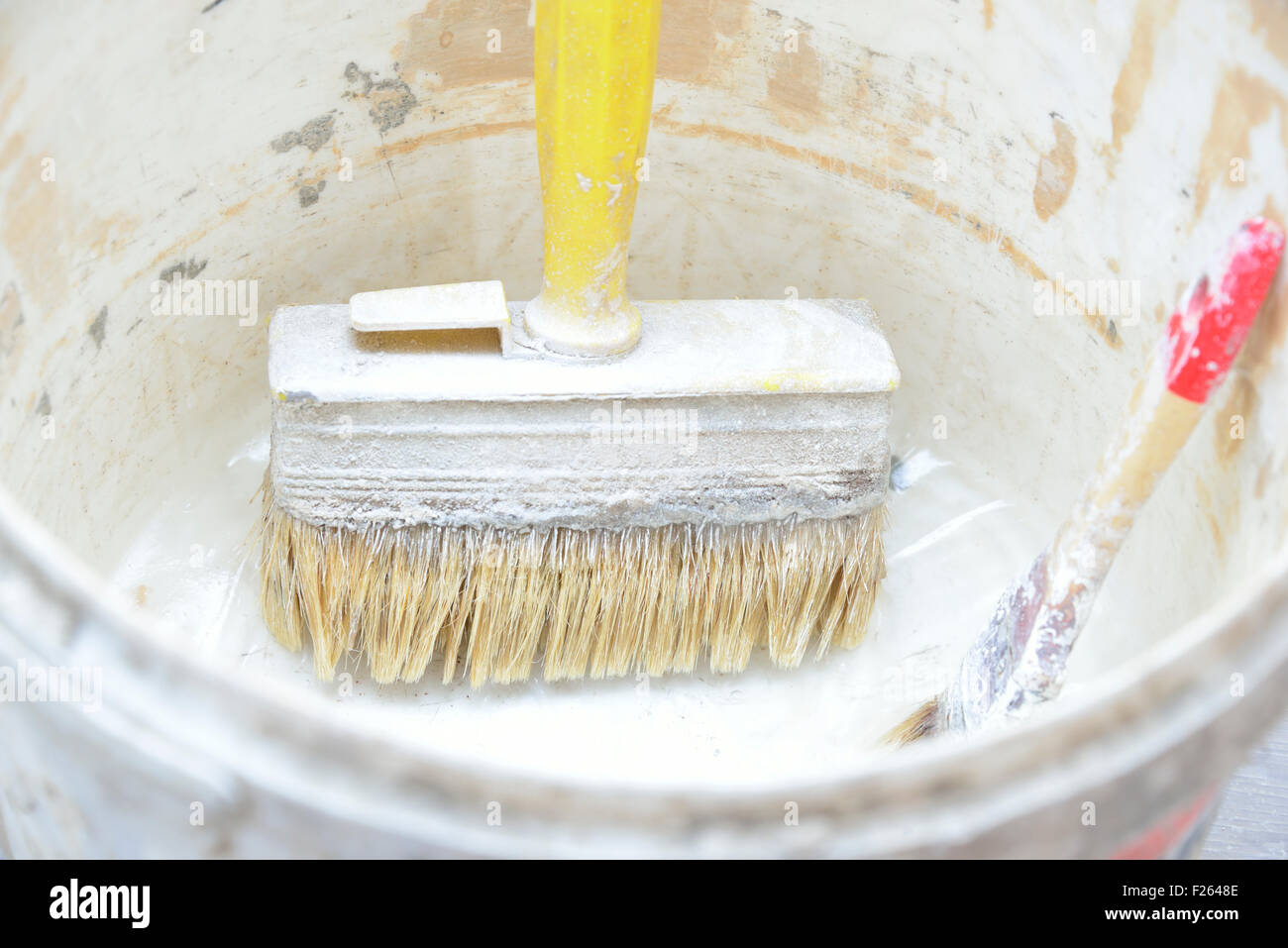 Colle à papier peint Banque de photographies et d'images à haute résolution  - Alamy