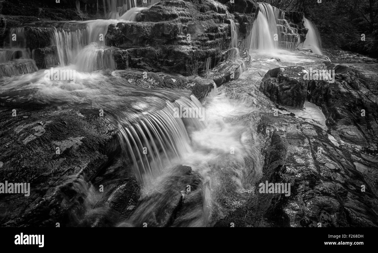 , Contacter Caroline ou Pannwr Sgwd y sur la basse chute d'Clun-Gwyn Mellte sur la rivière, près de Pontneddfechan dans le sud du Pays de Galles, Royaume-Uni. Banque D'Images