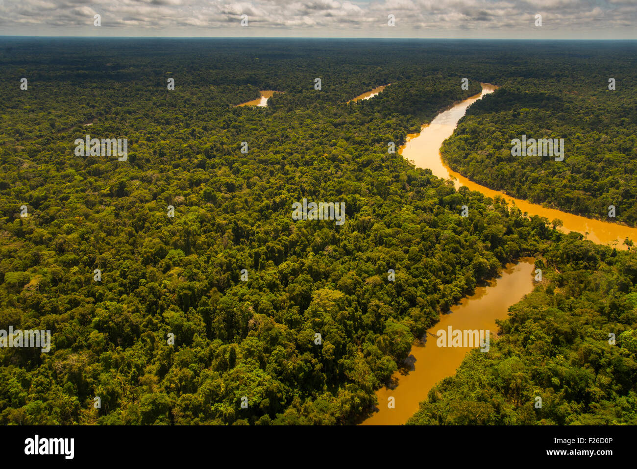 Yavari-Mirin Rainforest par antenne, rivière, lac et forêt primaire d'Oxbow, Région de l'Amazonie, Pérou Banque D'Images