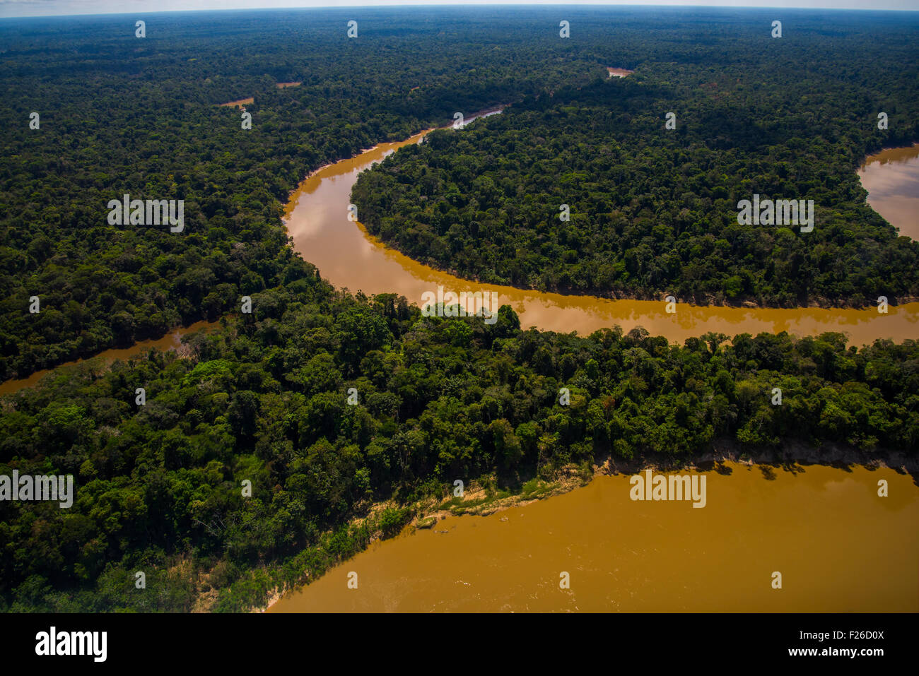 Rainforest aerial, Yavari-Mirin River (arrière) et la rivière Yavari (avant) et la forêt primaire, Région de l'Amazonie, Pérou Banque D'Images