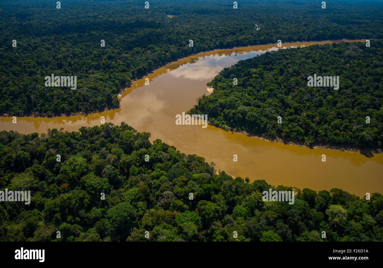Rainforest aerial, embouchure de la rivière La rivière Yavari Yavari-Mirin la saisie et la forêt primaire, Région de l'Amazonie, Pérou Banque D'Images