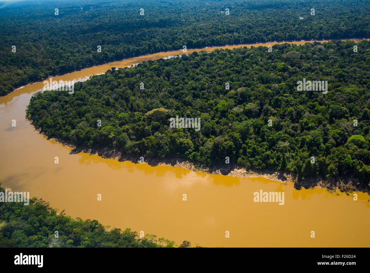 La rivière Yavari, antenne de la forêt tropicale et la forêt primaire, Région de l'Amazonie, Pérou Banque D'Images