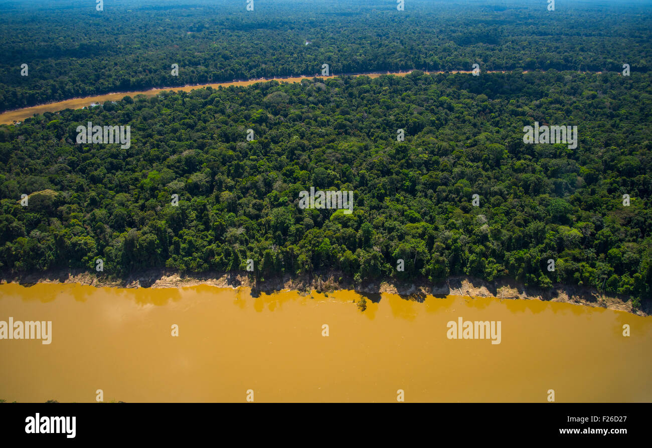 La rivière Yavari, antenne de la forêt tropicale et la forêt primaire, Région de l'Amazonie, Pérou Banque D'Images