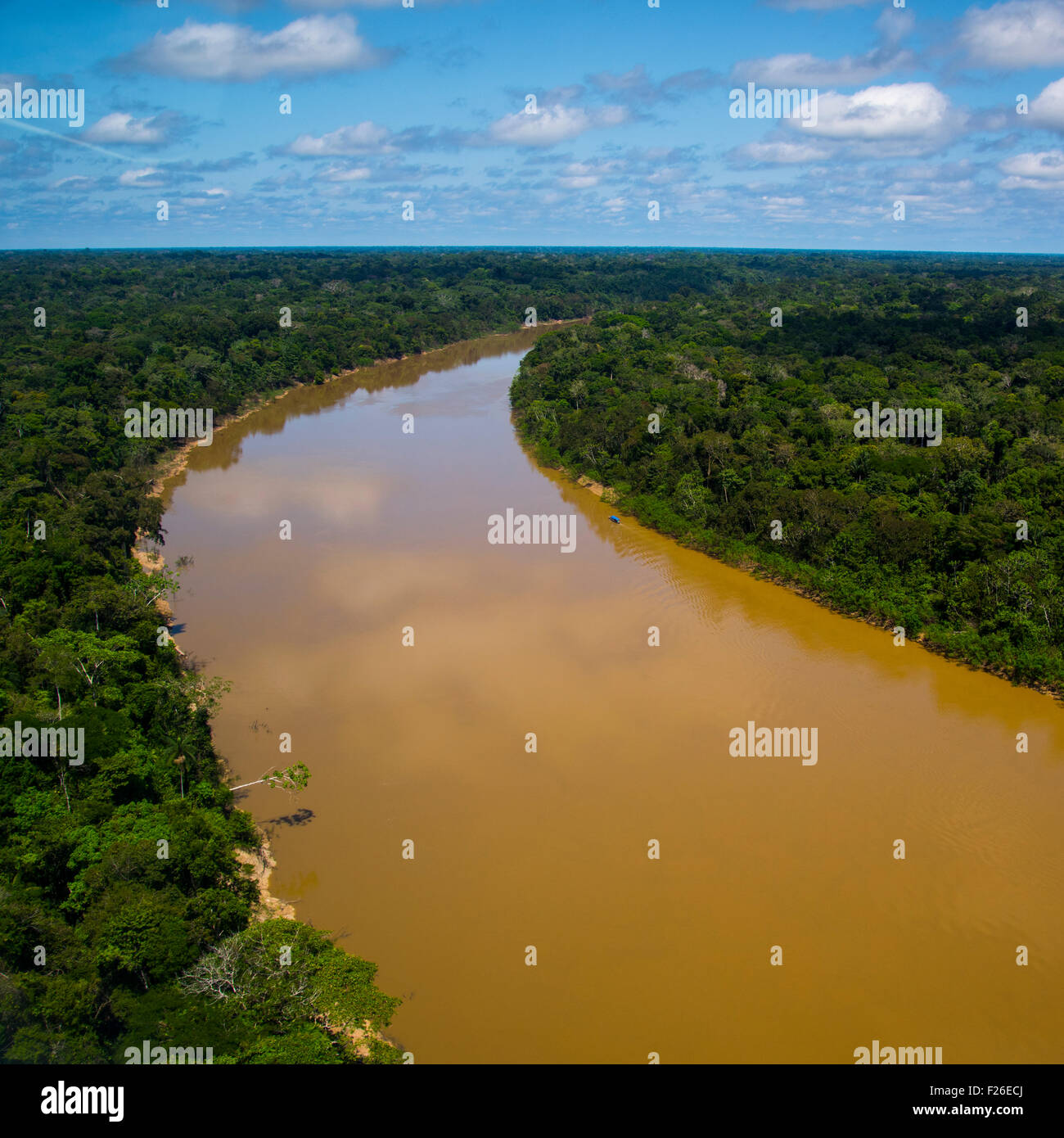 Antenne de la forêt tropicale, forêt et rivière Yavari Banque D'Images