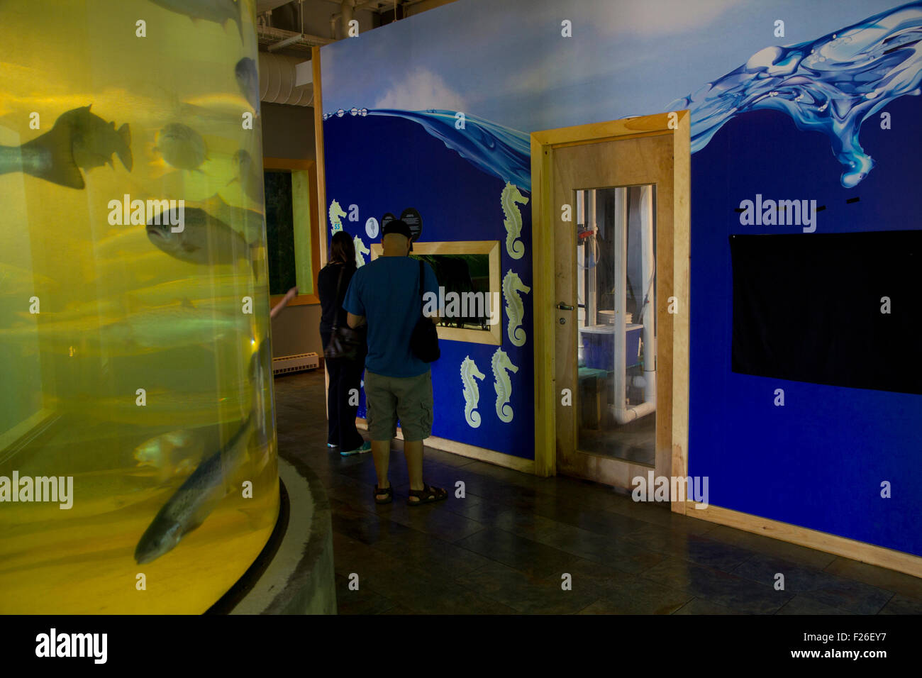 Les visiteurs à explorer les merveilles de la mer à l'Aquarium de Huntsman Marine Science Centre, un organisme sans but lucratif qui étudie la vie de la mer. Banque D'Images