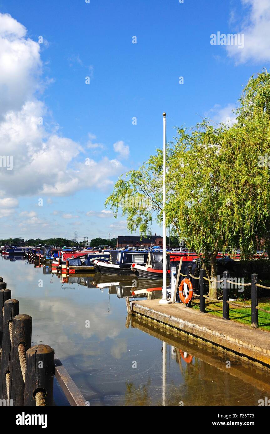 Narrowboats amarrés dans le bassin du canal, Barton Marina, Barton-under-Needwood, Staffordshire, Angleterre, Royaume-Uni, Europe de l'Ouest. Banque D'Images