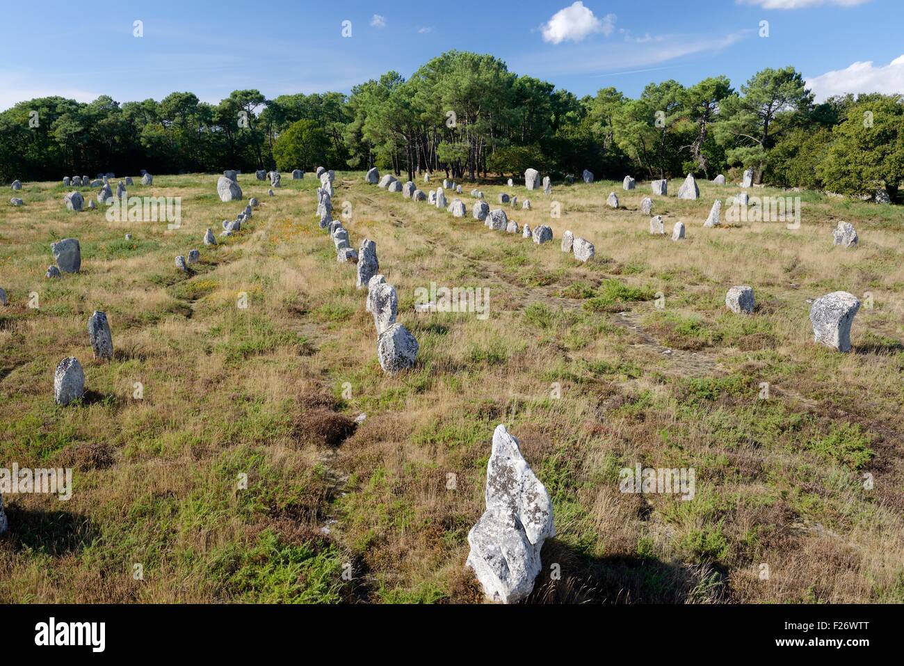 Carnac, France. Le groupe de pierre préhistoriques de Kerlescan rangée alignements. À l'ouest du centre du monument mégalithique Néolithique Banque D'Images