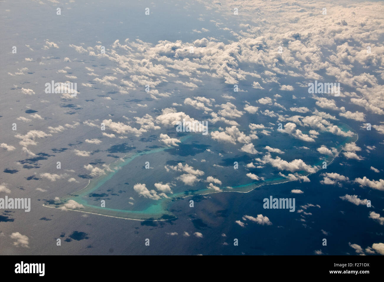 Osprey Reef, Mer de Corail, Australie Banque D'Images