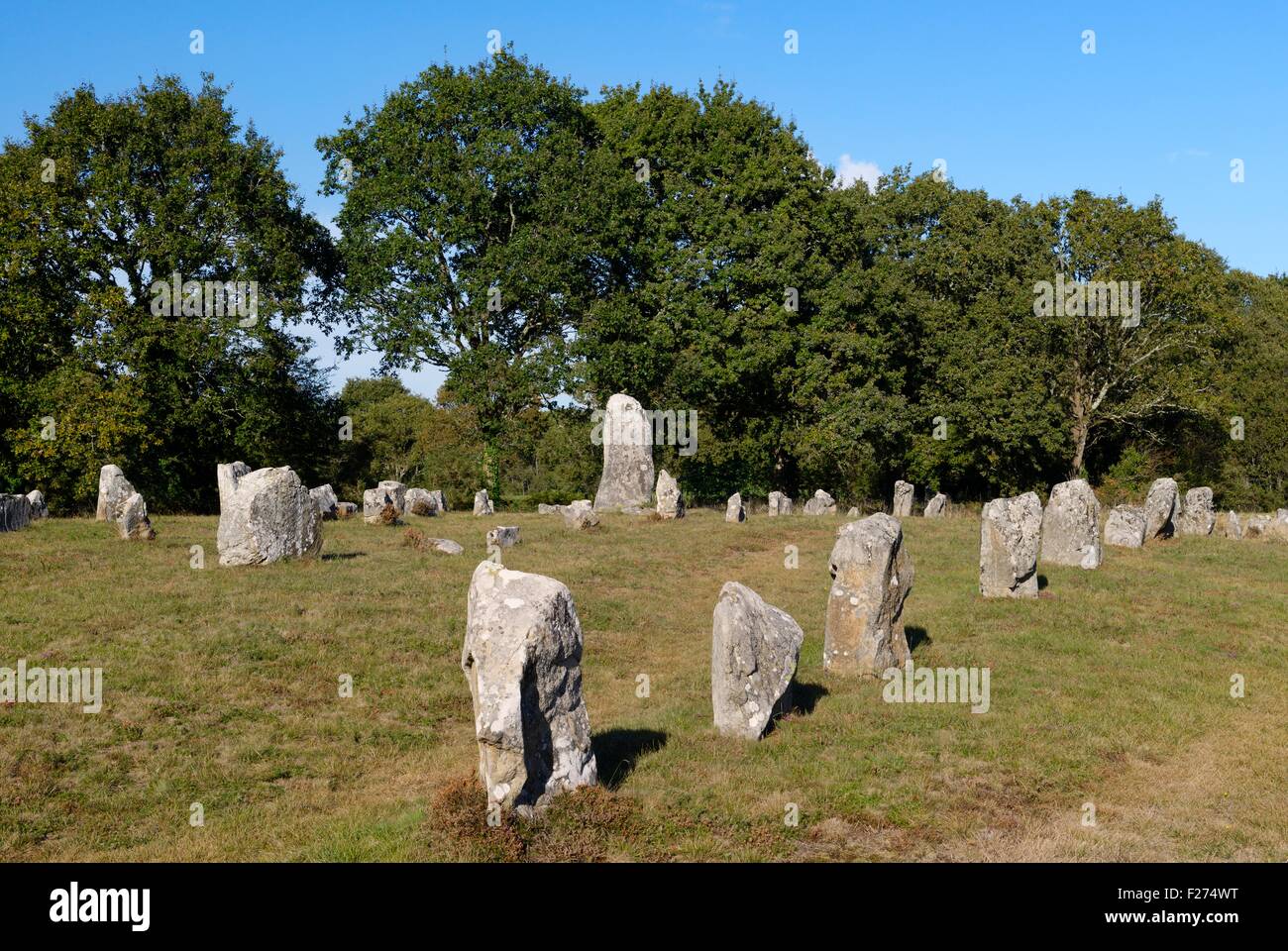 Carnac, Bretagne, France. La partie est de la groupe de pierre préhistoriques de Guillaume Depardieu alignements ligne à au nord-est Banque D'Images