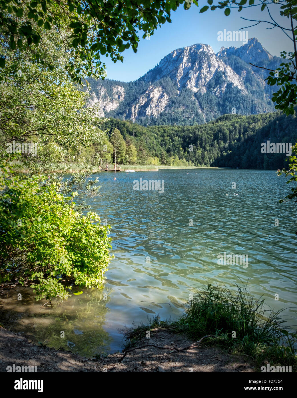 Schwansee, Swan Lake, Alpes bavaroises, Allemagne Bavière. Natation en eau libre au lac alpin clair Banque D'Images