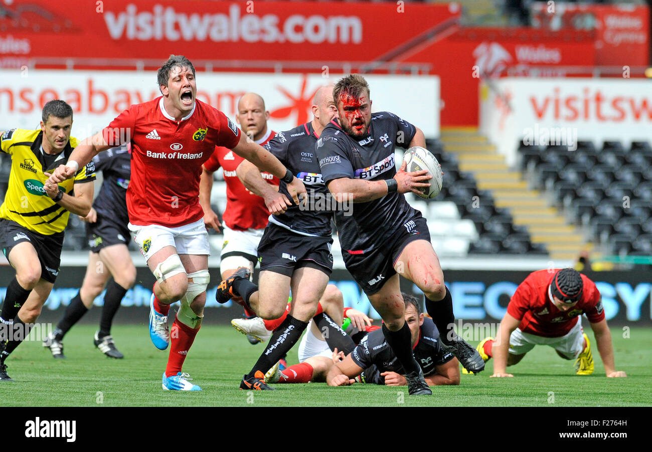 Swansea, Pays de Galles, Royaume-Uni. 13 Sep, 2015. Guiness Pro 12 - Ospreys v Munster au Liberty Stadium de Swansea : Ospreys Sam Parry fait une pause pour elle alors que couvert de sang d'une blessure à la tête dans la première moitié. Credit : Phil Rees/Alamy Live News Banque D'Images