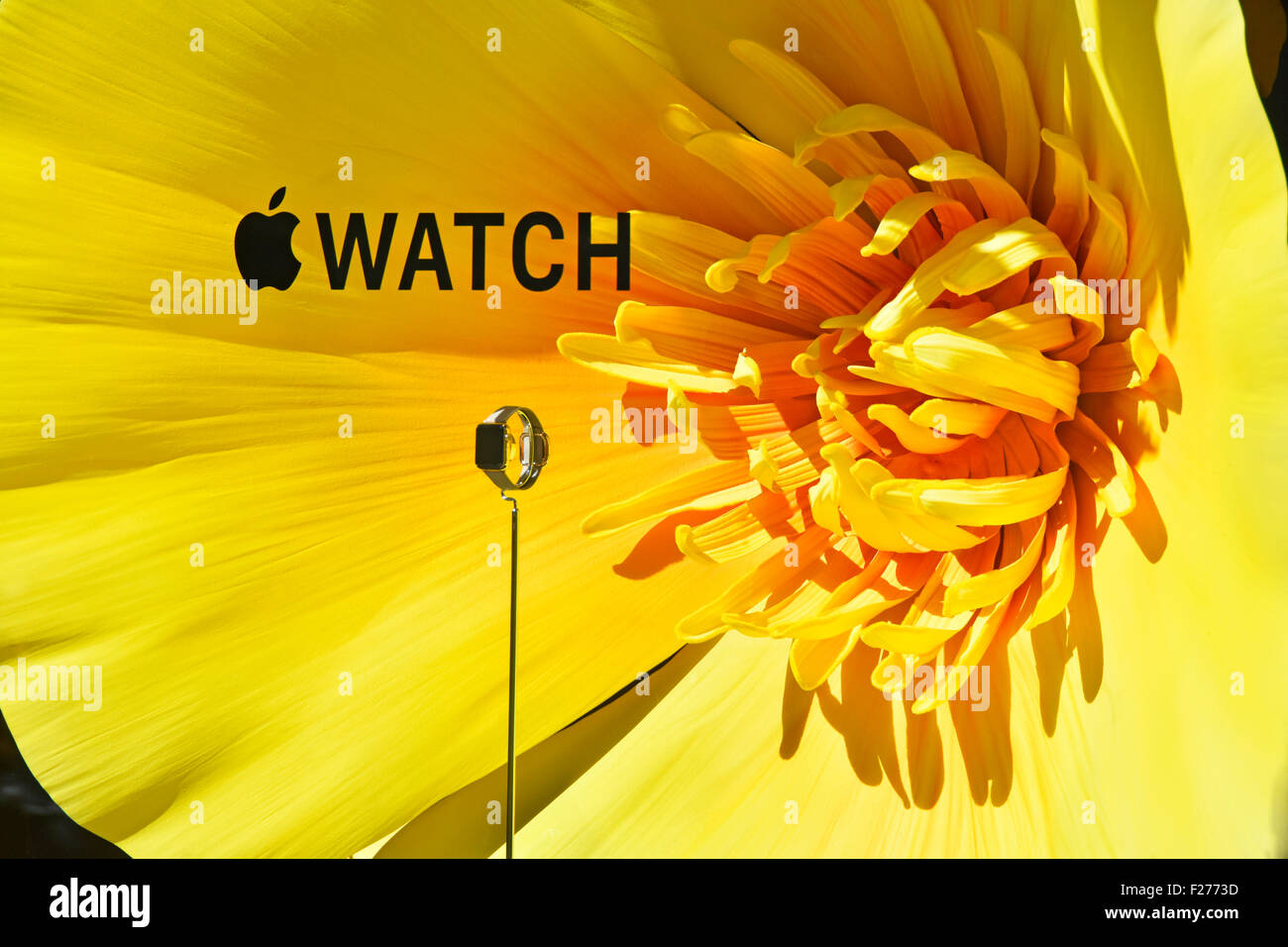 Grand magasin Selfridges affichage fenêtre promotion pour Apple Watch theming sur fond de grandes fleurs colorées Oxford Street store London UK Banque D'Images