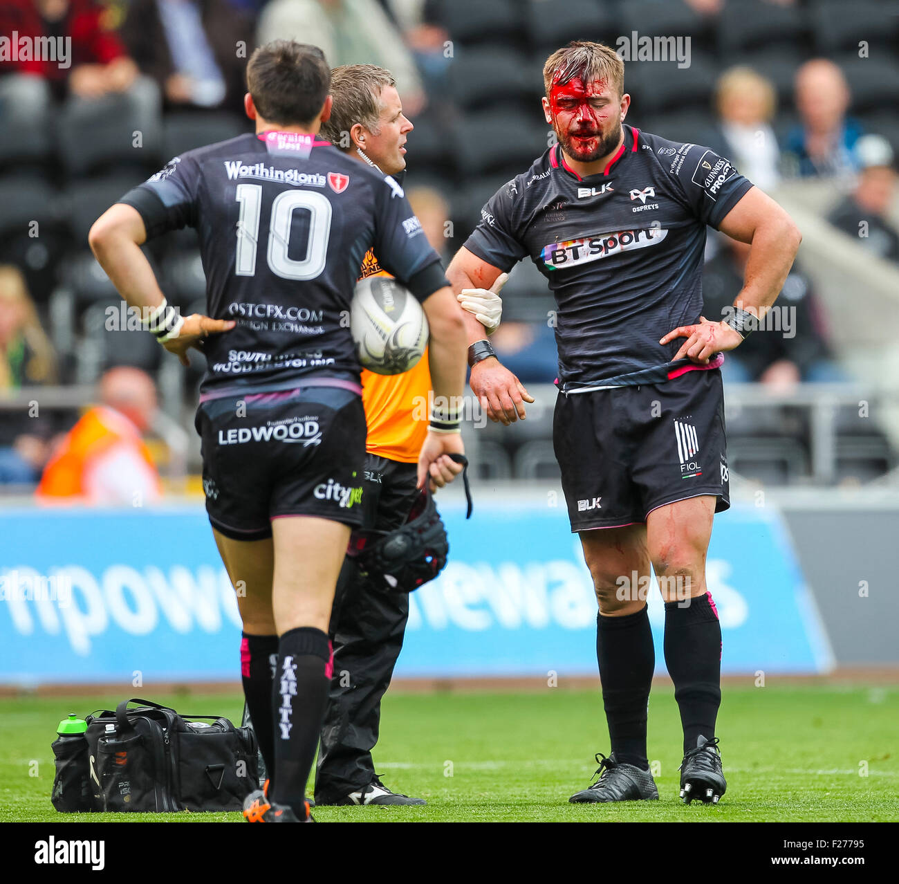 Swansea, Pays de Galles. 13 Sep, 2015. Guinness Pro12. Ospreys contre Munster Rugby. Les balbuzards Sam Parry reçoit le traitement après une coupure à la tête. © Plus Sport Action/Alamy Live News Banque D'Images
