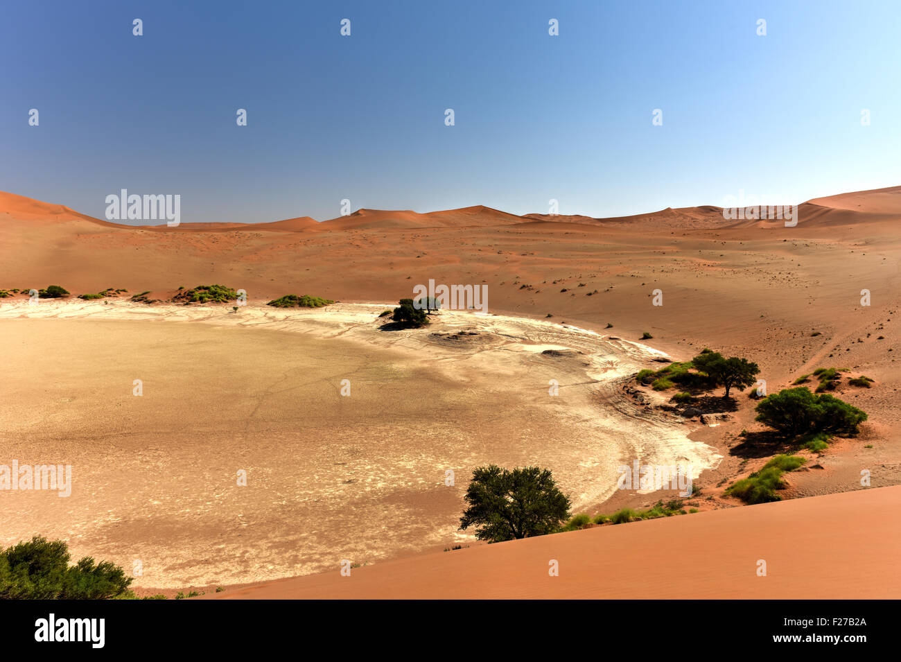 Sossusvlei (parfois écrit Sossus Vlei) est un sel et de l'argile pan entouré de hautes dunes rouges, situé dans la partie sud de Banque D'Images
