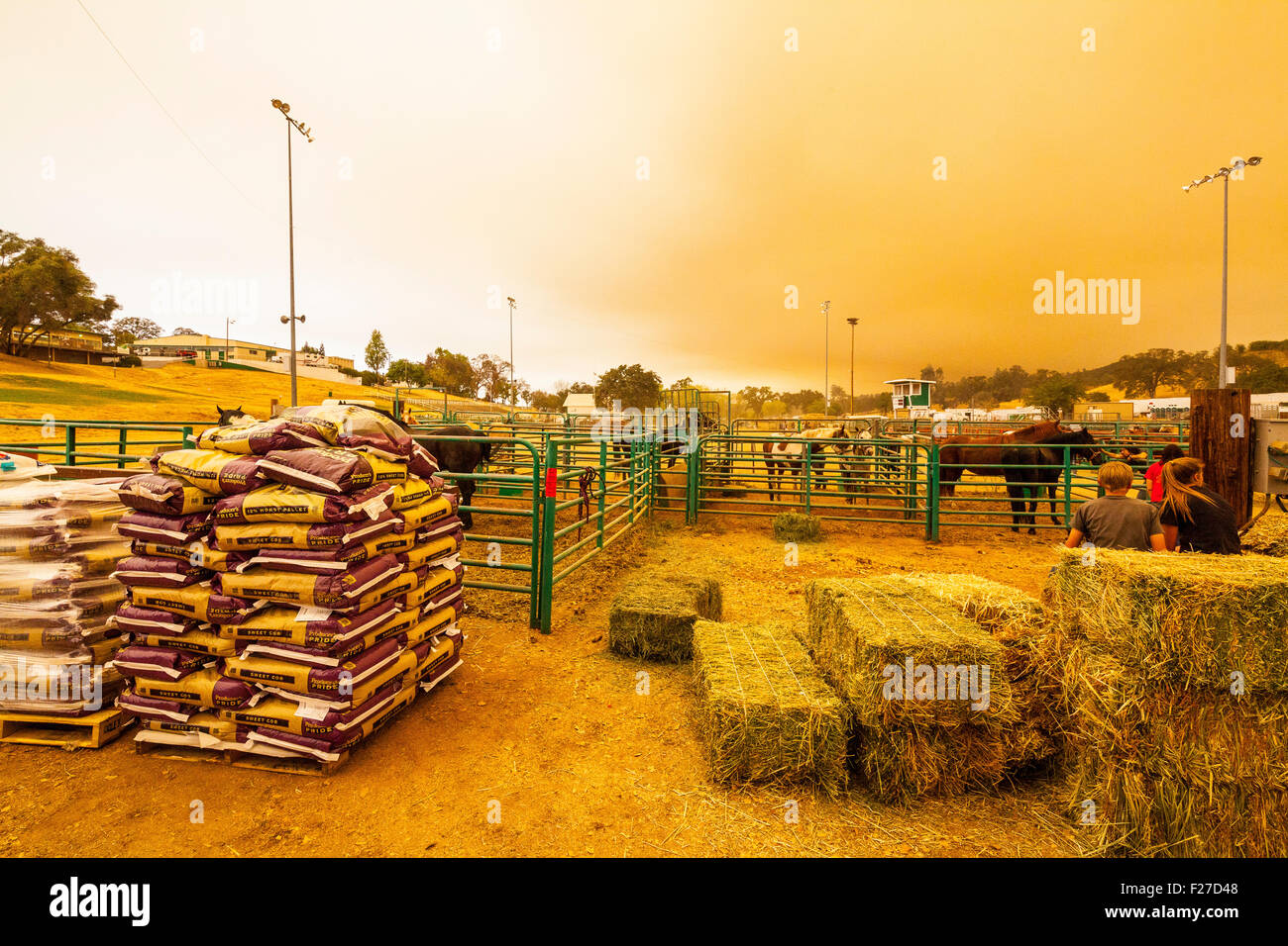 Foire du Comté de Calaveras à Angels Camp, Californie, USA. 12 Septembre, 2015. Le foin et la nourriture pour les chevaux empilés par l'enclos temporaire avec un nuage de fumée de l'incendie de Butte au-dessus. Crédit : John Crowe/Alamy Live News Banque D'Images