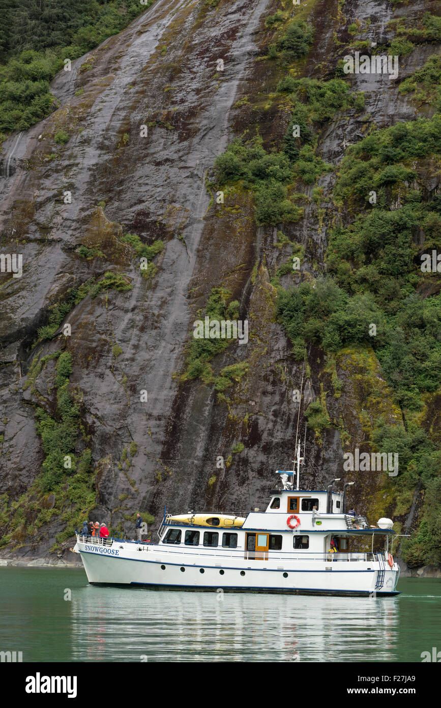 L'Oie des neiges, un petit bateau de croisière, dans la terreur, l'un des gués fjord glaciaire dans le sud de l'Alaska. Banque D'Images