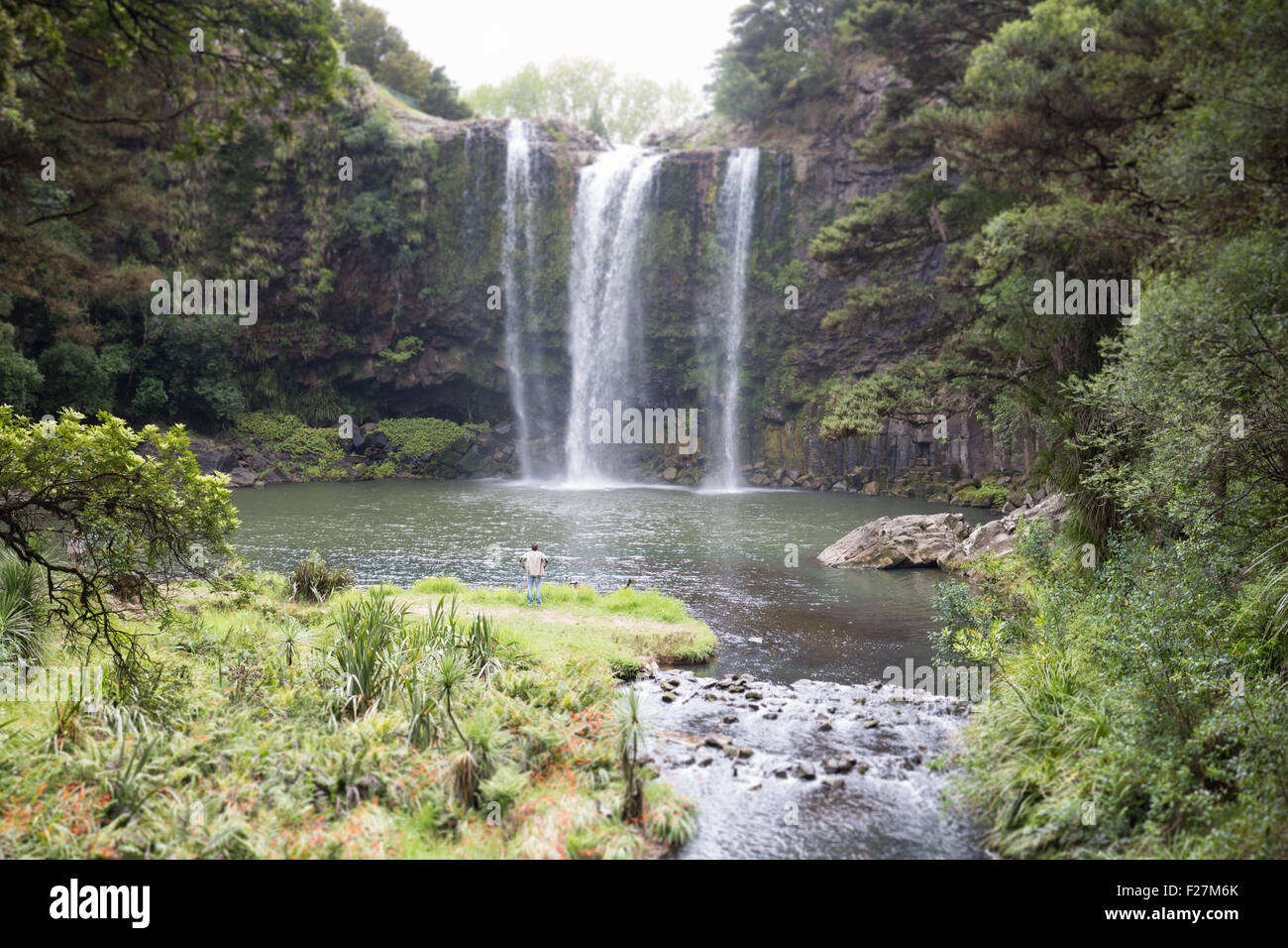 Paysage spectaculaire à Whangarei Falls, New Zealand Banque D'Images