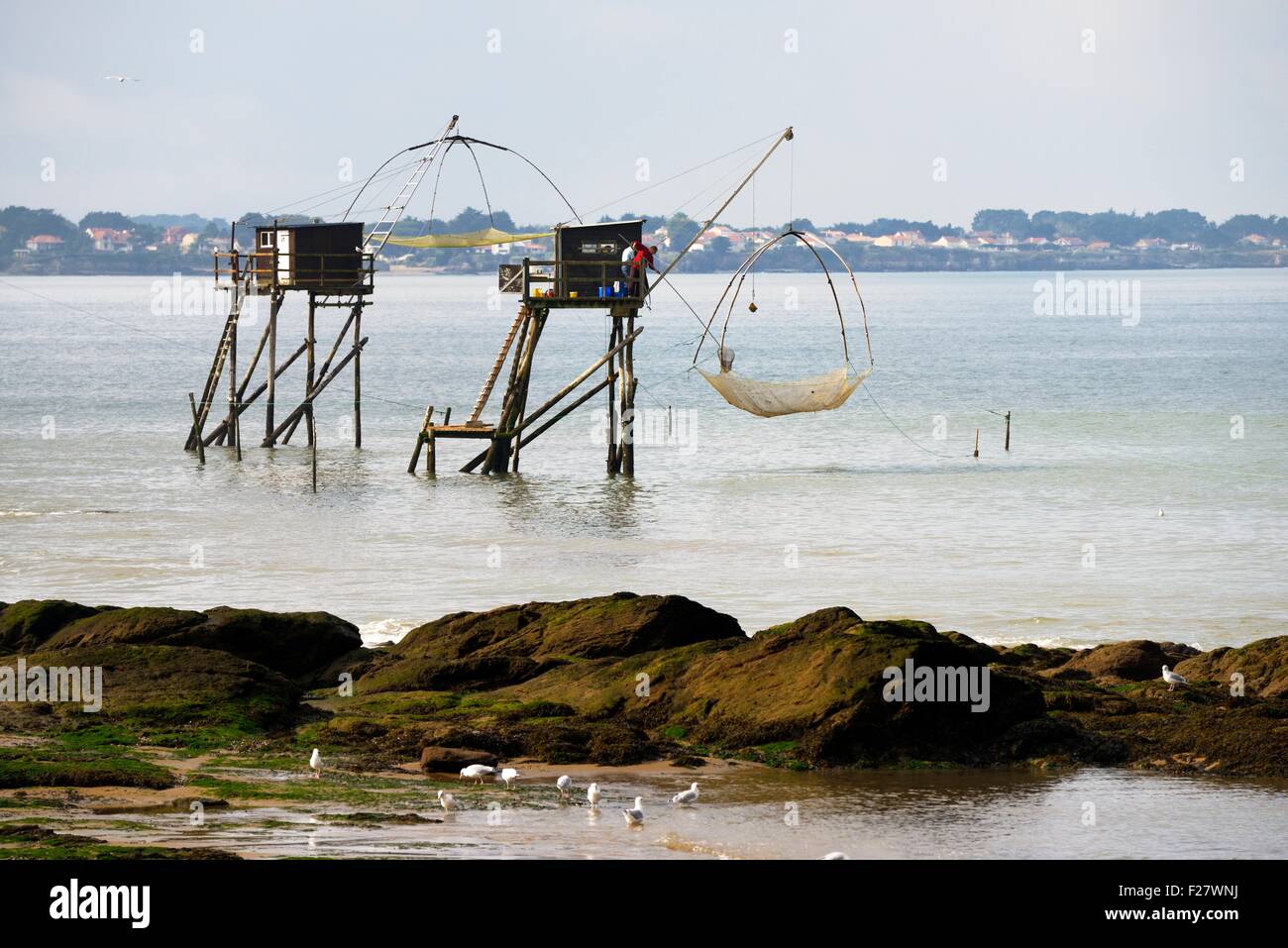 Carrelet traditionnel ascenseur cabane de pêche net. Le Croisic, Loire-Atlantique, France. L'éperlan plie sole anguille d'encornets Banque D'Images