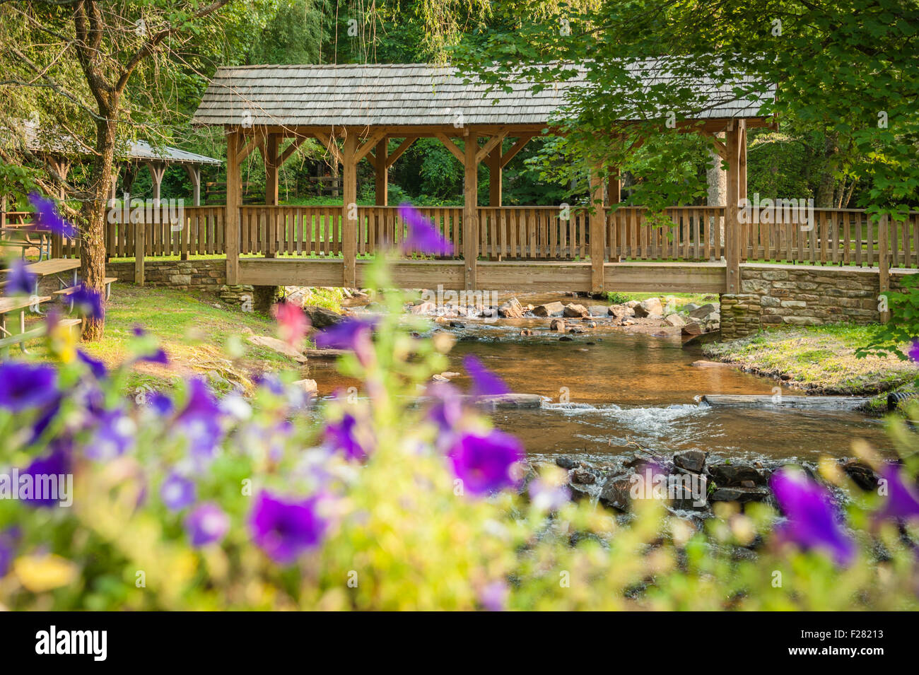 Paysage d'été d'une passerelle couverte et au courant de la Géorgie du nord beau parc d'état de Vogel. USA. Banque D'Images