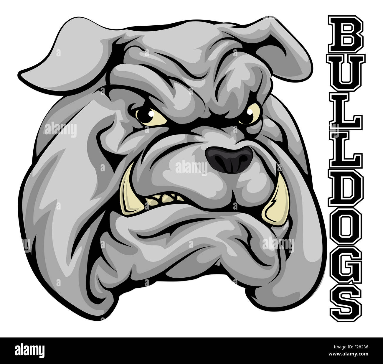 Une illustration d'une tête de bouledogue mascotte sportive avec les Bulldogs de word Banque D'Images