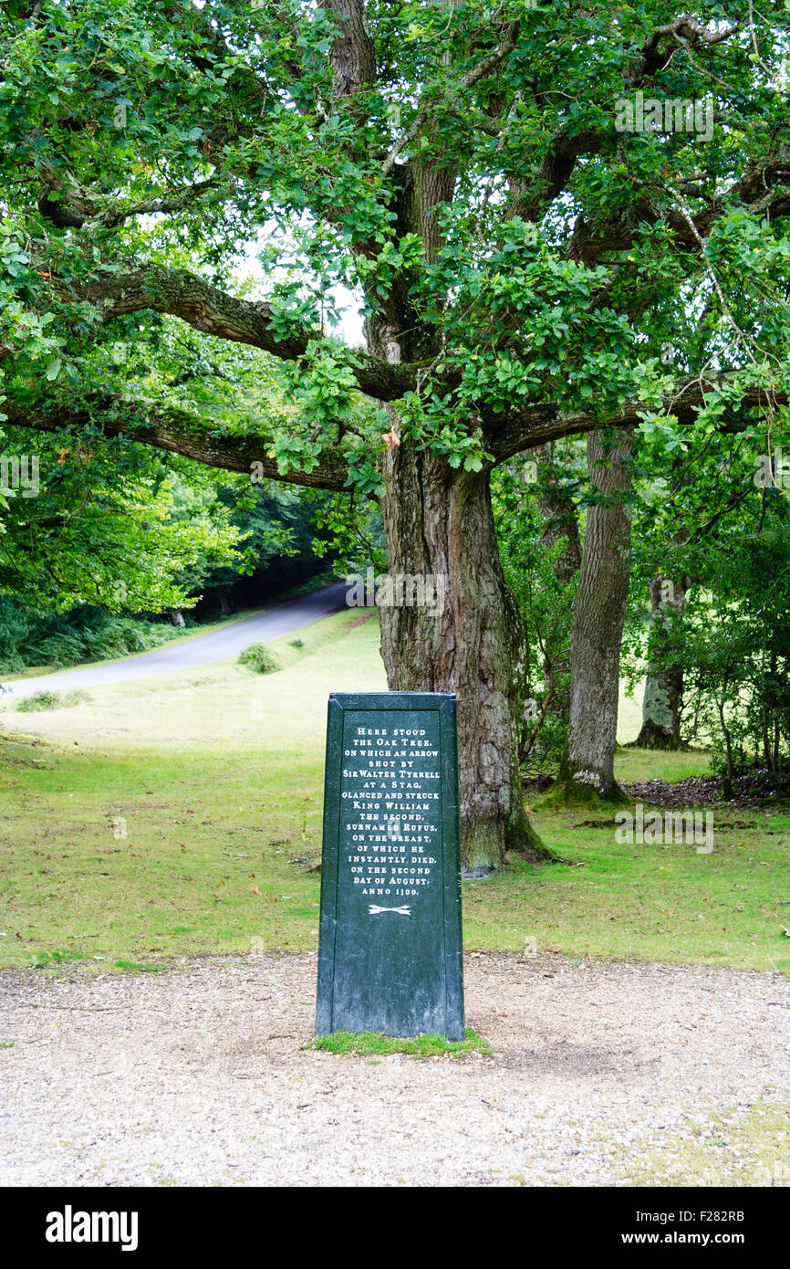 L'Angleterre, de la forêt. Rufus pierre commémore l'emplacement de l'arbre de chêne qui a causé une flèche à coup d'arrêt et de tuer le roi Guillaume le deuxième. Banque D'Images