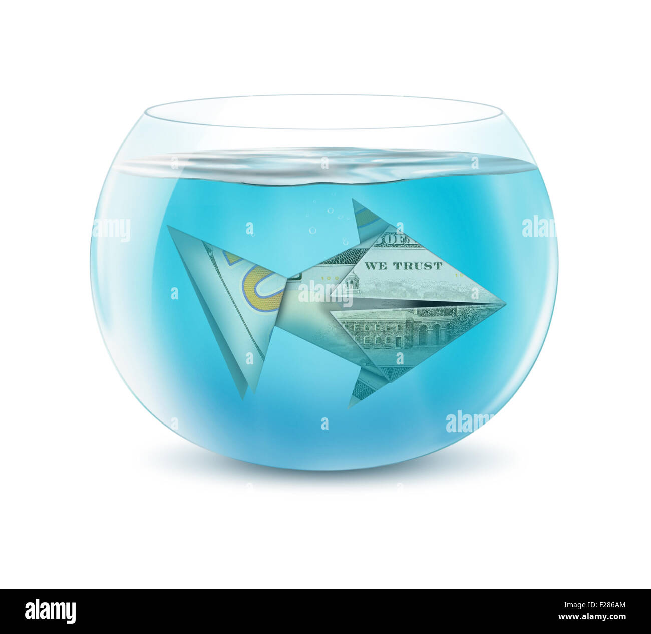 Finances, concept créatif dans l'aquarium poisson dollar on white Banque D'Images