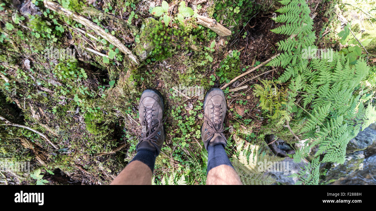 Chaussures de randonnée, les pieds sur le sol forestier, Autriche Banque D'Images