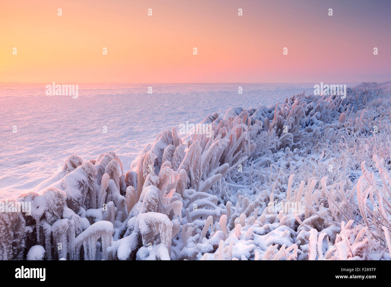 Lever de soleil sur un lac gelé sur un matin froid record aux Pays-Bas. Banque D'Images