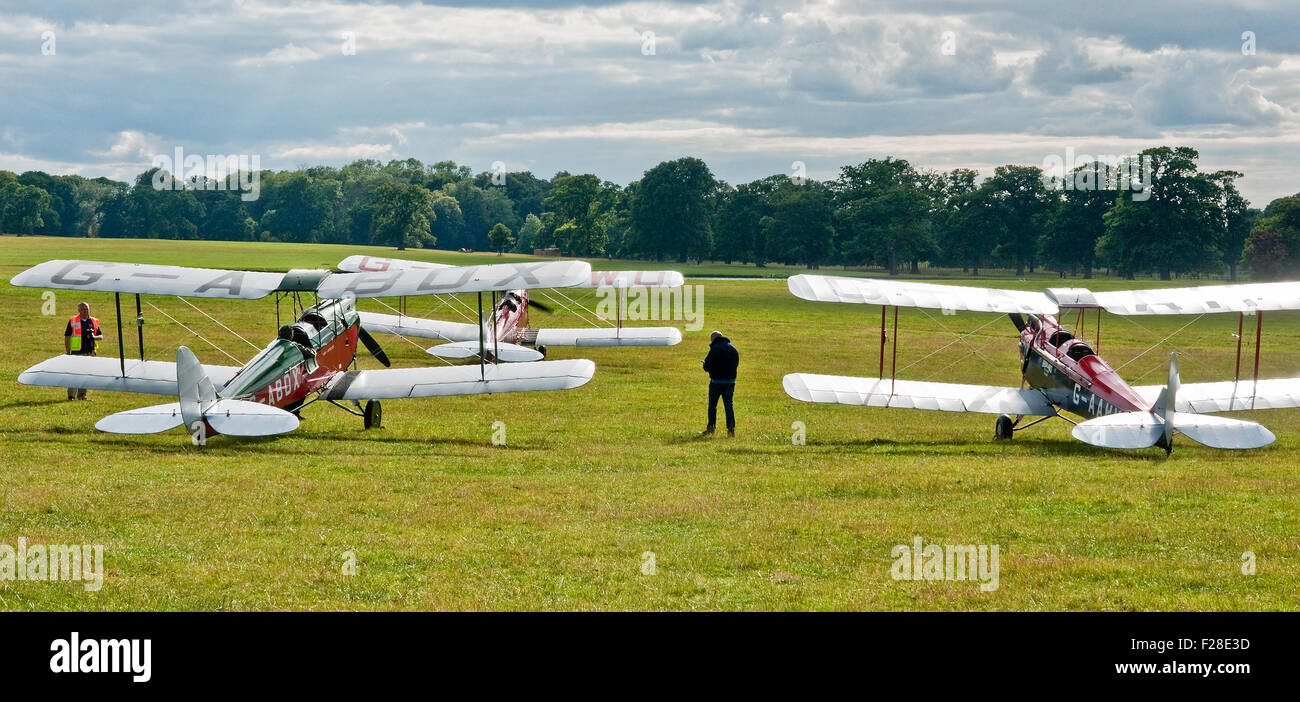 Trois vintage de Havilland DH-60 Papillons de lueur dans la evenin sunshine à l'assemblée annuelle d'amphibien rassemblement à Woburn Abbey en août 2015 Banque D'Images