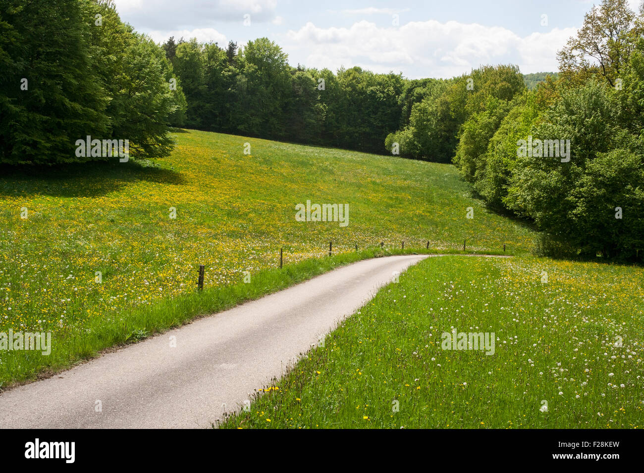 En passant par l'intermédiaire du paysage rural, Bavière, Allemagne Banque D'Images