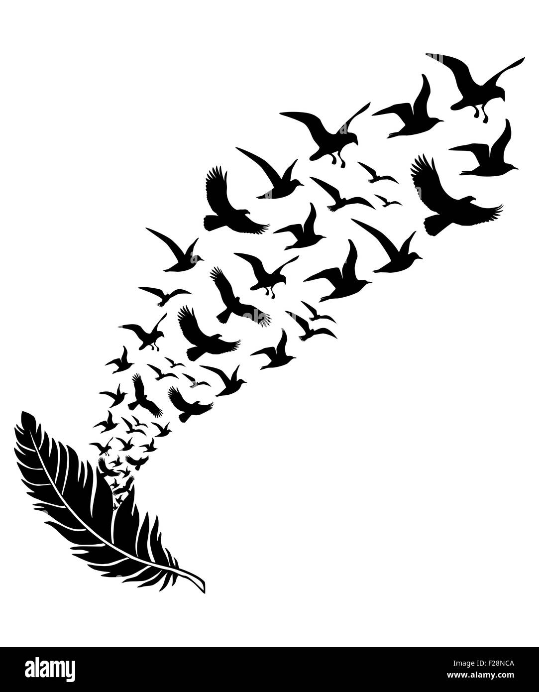 Plumes avec les oiseaux en plein vol, vector illustration Banque D'Images