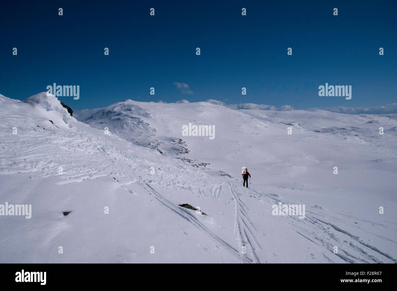 Back country ski de montagne en Norvège, vers Suletind (1780m) sur une journée ensoleillée en mai Banque D'Images