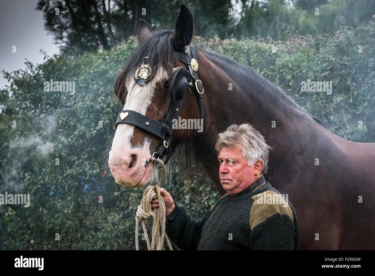 Un Shire Horse et son propriétaire à l'Essex Show, Barleylands, Essex. Banque D'Images