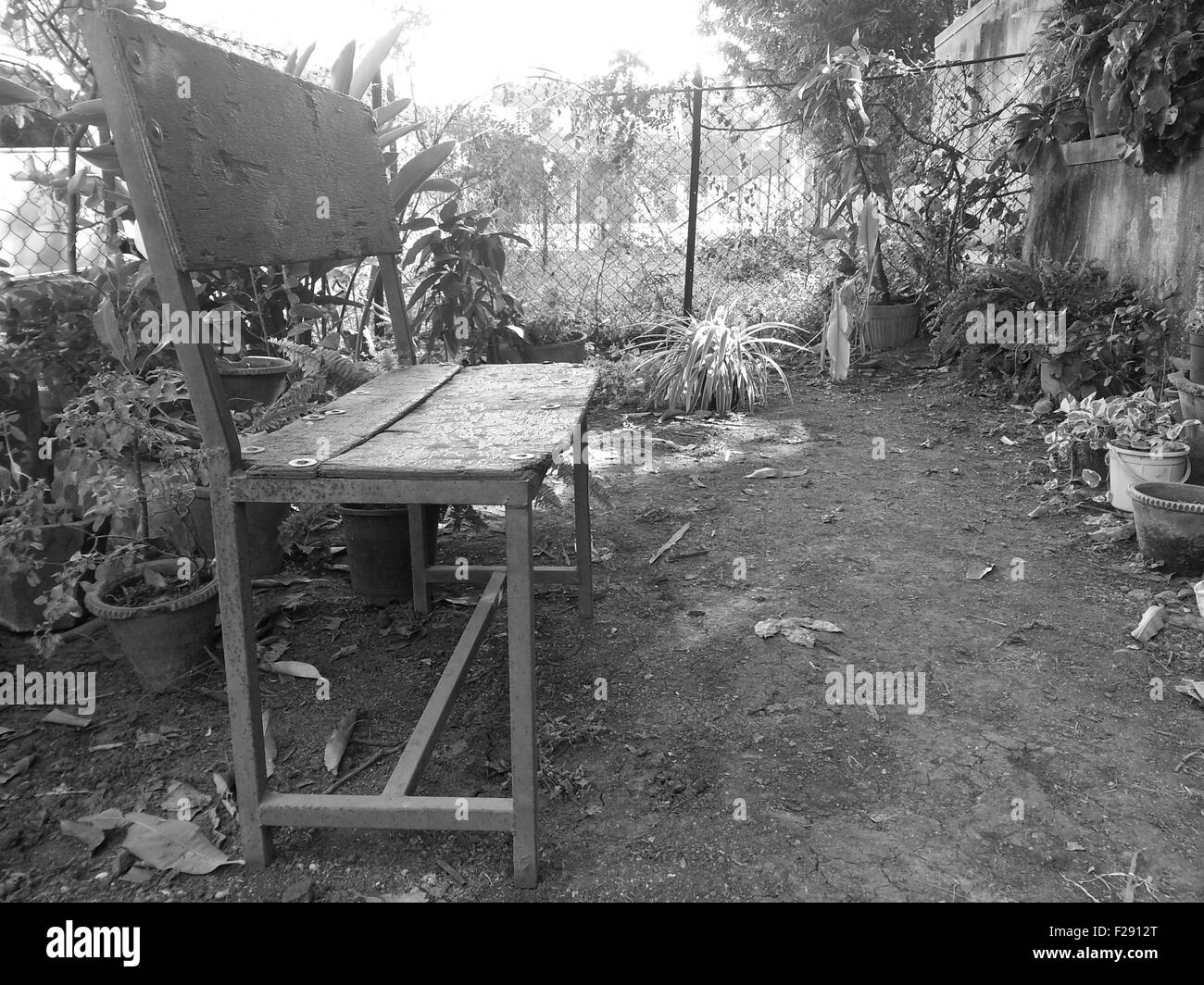 Vieux banc en bois dans un jardin Banque D'Images