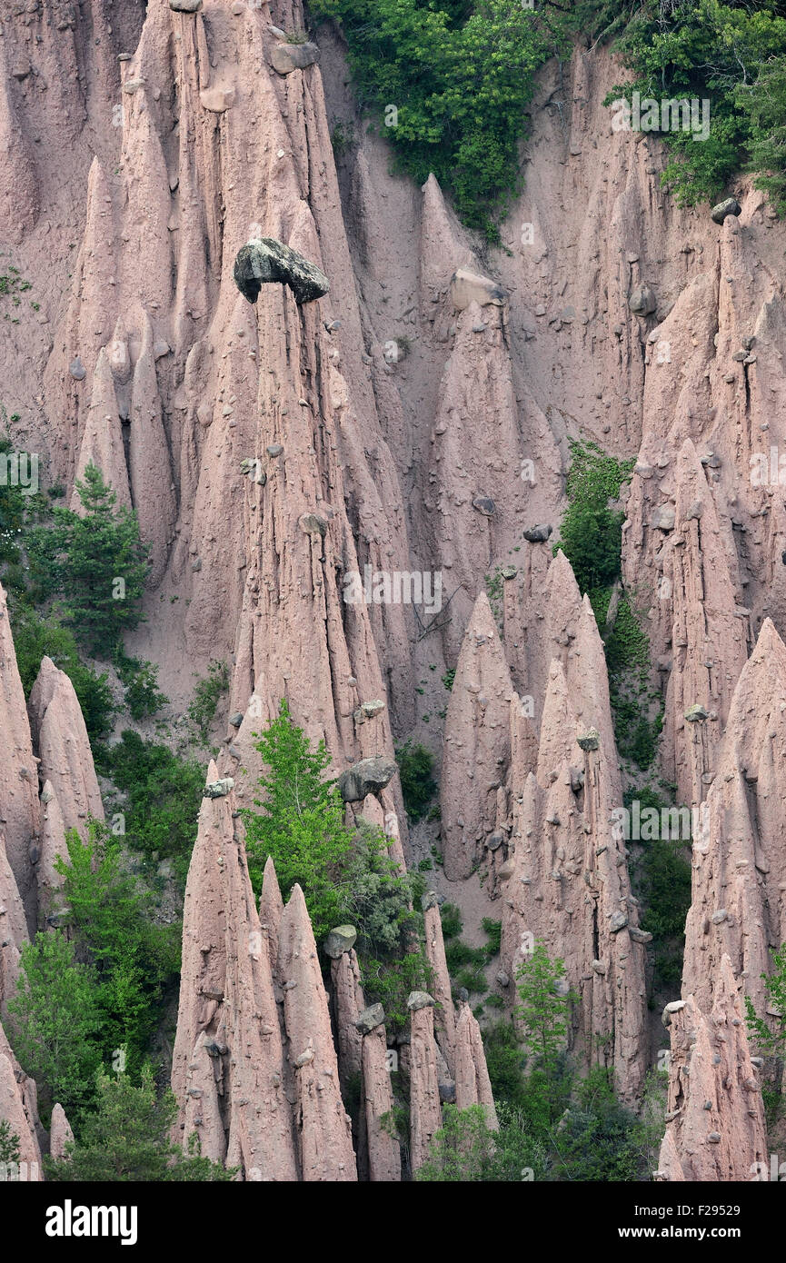 Pyramides de la terre / cheminées de fées de Longomoso / Lengmoos / Monti di Mezzo sur le Renon Renon / plateau, Tyrol, Dolomites, Italie Banque D'Images