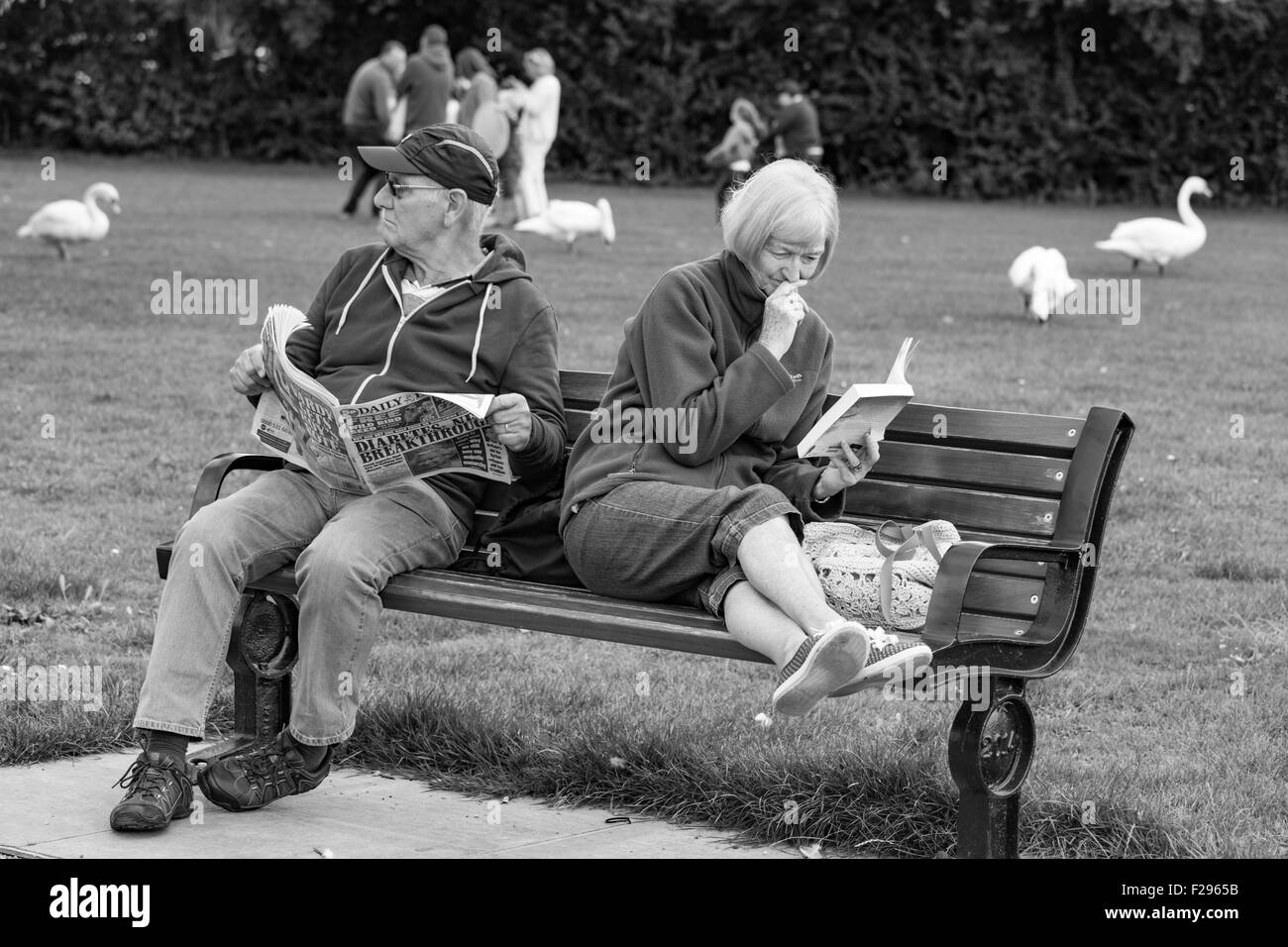 Couple d'âge moyen, la dame de détente avec un livre de poche et l'homme avec un journal sur un siège du parc, England, UK Banque D'Images