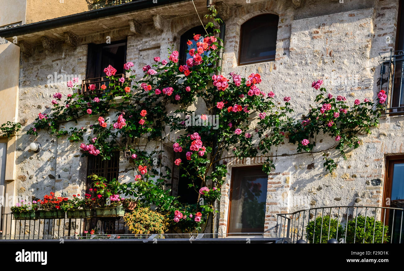Vintage magnifique balcon avec des fleurs colorées et mur de pierre , de style méditerranéen Banque D'Images
