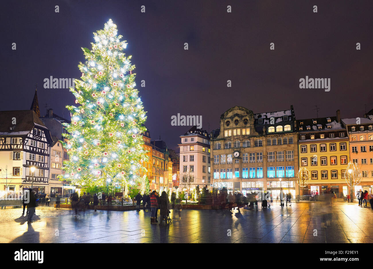 Le grand arbre de Noël en Place Kleber à Noël. Strasbourg. Bas-Rhin. L'Alsace. France Banque D'Images