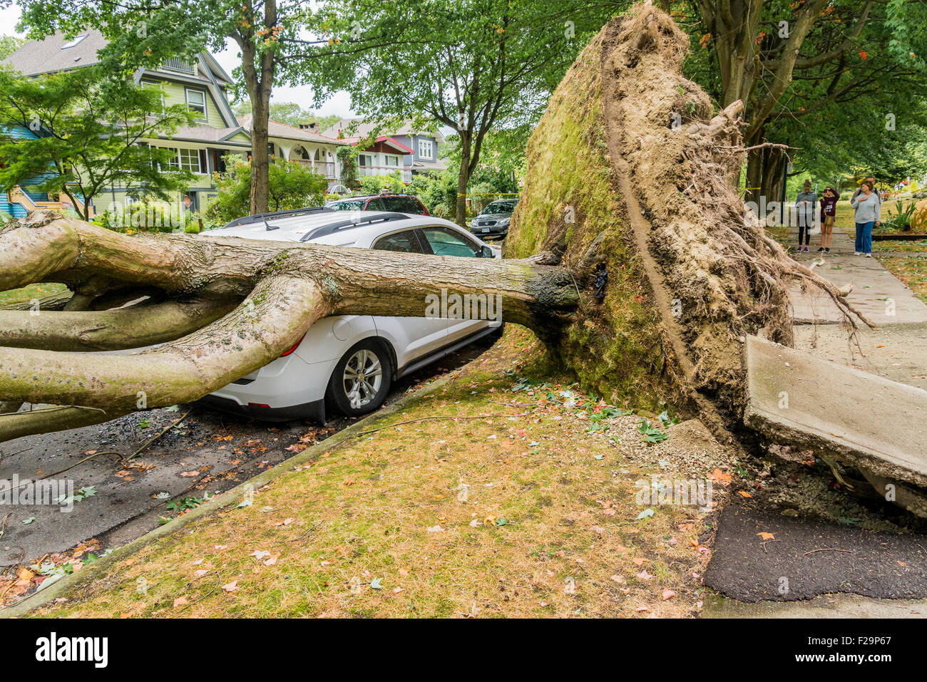 De puissants vents de tempête frapper au-dessus des arbres et causent des perturbations de l'alimentation, Vancouver, British Columbia, Canada Banque D'Images