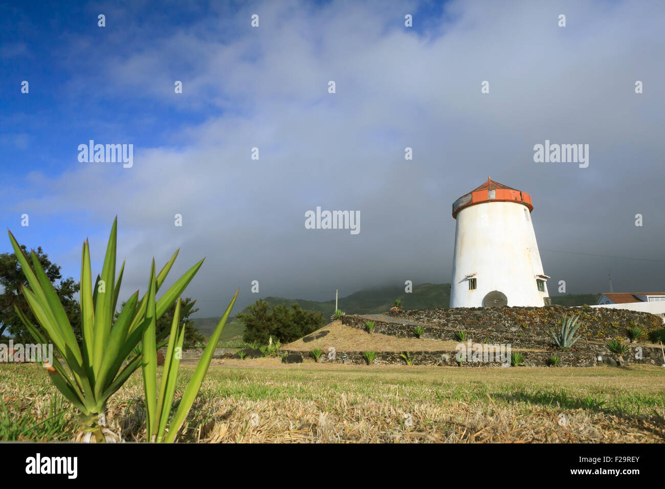 Moulin du panorama d'îles Açores, Portugal Banque D'Images